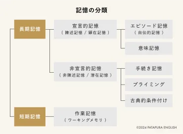 短期記憶と長期記憶