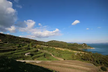 ハリウッドスターも訪れるという豊島の秘密基地・アミューズ保養所 : 日々の気づき
