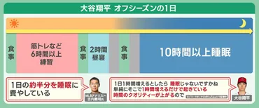 大谷翔平選手の平均睡眠時間は、1日10時間以上 