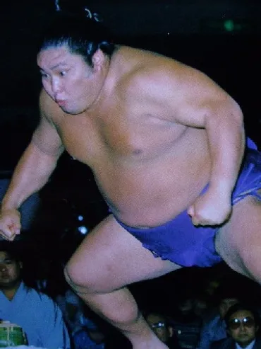 板井 圭介 力士情報