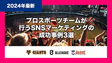 2024年最新】プロスポーツチームが行うSNSマーケティングの成功事例3選