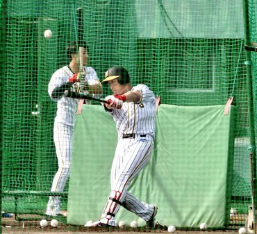 大山にマン振り指令 田淵＆門田イズム注入だ 浜中コーチ助言で５連発/タイガース/デイリースポーツ online