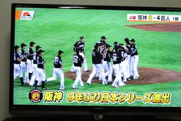 タイガース、CS制覇！日本シリーズへ 