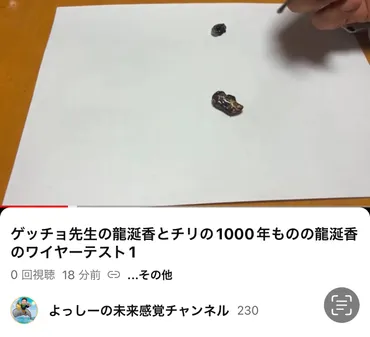最近の活動紹介 龍涎香の鑑定 