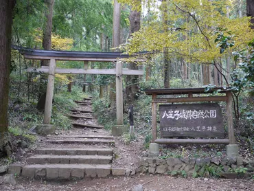 八王子城跡と御主殿の滝 