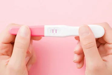 双子妊娠ってどんな感じ？妊娠検査薬の結果とリスク、種類について解説！(？マーク)双子妊娠の基礎知識：種類、リスク、管理方法を徹底解説！