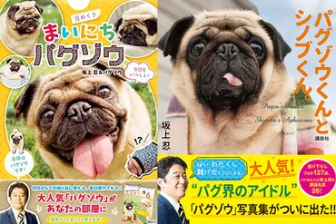 今すぐほしい！「パグゾウ」の日めくりカレンダーと写真集 