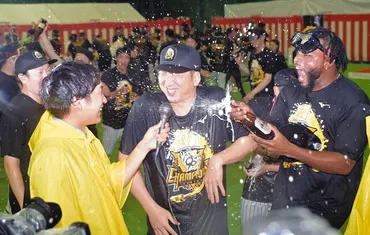 阪神タイガース快進撃！岡田イズムとクライマックスシリーズへの道(？)藤川監督率いる阪神タイガース、リーグ制覇への軌跡