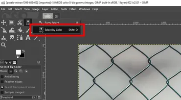 GIMP で背景を削除する 6 つの方法: 総合ガイド