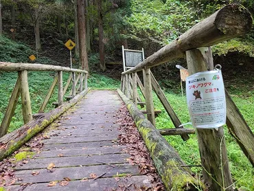 登山におけるツキノワグマにご注意ください／千曲市