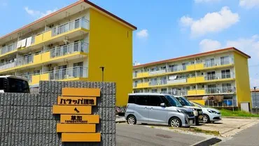 すごい団地！「保育園、ドッグラン、畑を完備」「子育て中に゛ご近所さん゛を頼れる」 満室が続く《ハラッパ団地・草加》が、令和に人気を呼ぶワケ(東洋経済オンライン)  