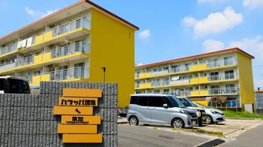 ハラッパ団地・草加の魅力とは？：リノベーション団地と地域コミュニティ形成？地域を繋ぐ、リノベーション団地の挑戦