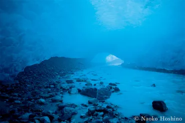 2つの出会いから壮大な物語が始まった。星野道夫の遺作『森と氷河と鯨』の軌跡
