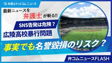 SNSの告発「事実でも名誉毀損リスク」弁護士が警鐘 拡散した人も法的責任問われる恐れ 