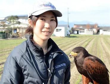 佐賀の女性鷹匠石橋美里。技の観光・見学はどこでできる?【ウラ撮れちゃいました】