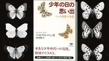 少年の日の思い出』あらすじ&解説!エーミールとぼくのサナギ的な人物像