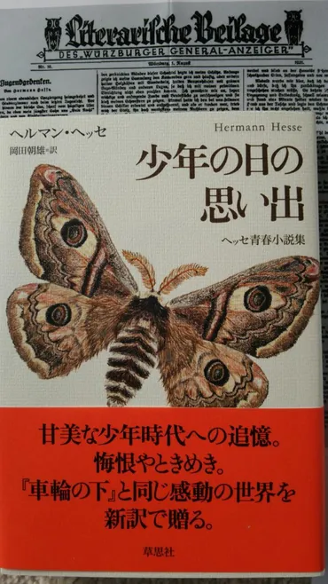 少年の日の思い出 へルマン ヘッセ(高橋健二 訳) : こっけの備忘録