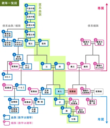 親等とは？親等の数え方と親等図・一覧表についてわかりやすく解説