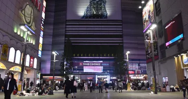 歌舞伎町「トー横」の現在と未来？（トー横、若者、問題、対策）歌舞伎町の若者コミュニティ「トー横」を巡る現状と課題