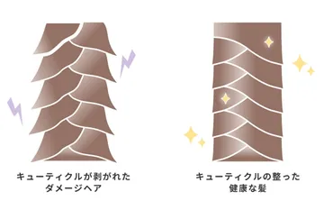 髪のツヤと健康を守る！キューティクルケアの重要性とは？髪の美しさを左右する、キューティクルの基礎知識とケア方法