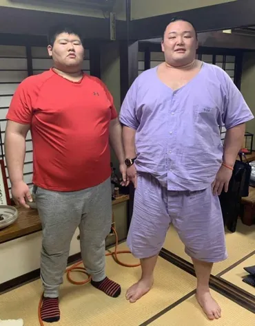 朝乃山（大相撲）の軌跡：試練と復活、家族の支えと未来への展望？朝乃山関の相撲人生と、関取復帰への道のり