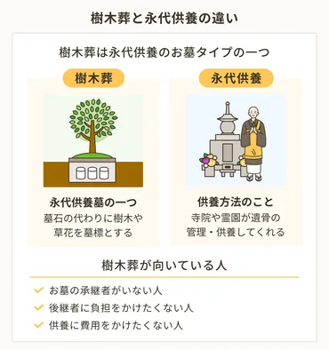 樹木葬とは？費用や種類、選び方のポイントを徹底解説！樹木葬の基礎知識から、費用、種類、選び方のポイントまで