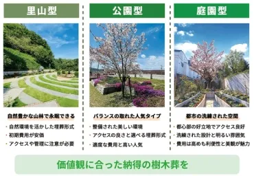 公園型樹木葬とは？特徴・費用相場・メリット・デメリットを徹底解説