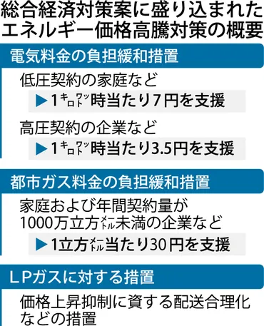 総合経済対策案、家庭の電気代を２割支援 –電気新聞ウェブサイト
