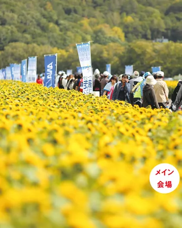 大会の特徴 