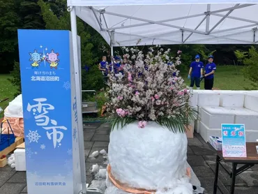 満開の雪氷桜とヒマワリでランナーを応援 「北海道マラソン2022」にて市民応援を実施 