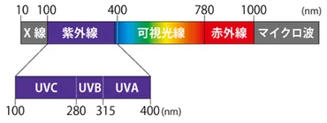 紫外線とは？（紫外線の種類と危険度の違い）