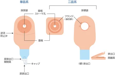 ストーマ装具
