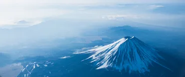 日本保守党の重点政策項目 