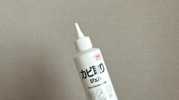 カビがみるみる消える!?ダイソーのカビ取りジェルが凄すぎた!(池田真子