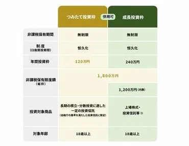 高齢者世帯の約6割が「年金だけで生活できない」…老後資金を新NISAで確保する場合の注意点とは？ 5つの注意点をわかりやすく解説！ 