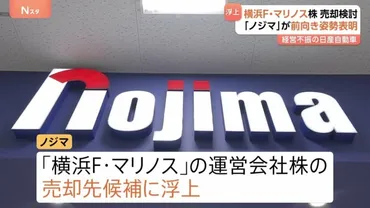 横浜F・マリノスの株引き受けにノジマ前向き「話来たら検討する ...