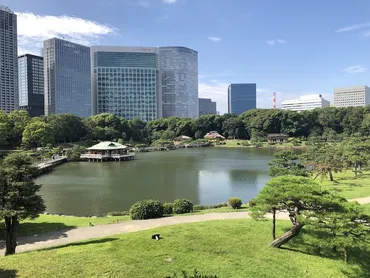 汐留・新橋エリアってどんなとこ？アクセス抜群！住む？遊ぶ？魅力と注意点を紹介！（疑問形）汐留・新橋エリアの魅力：交通アクセス、エンタメ、暮らしやすさ