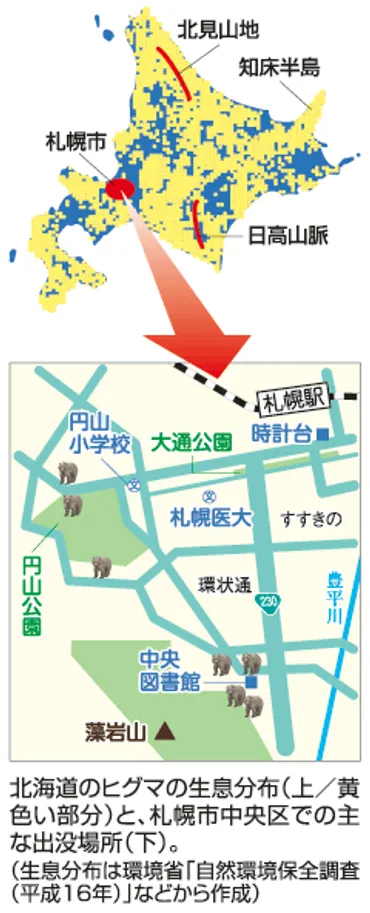 ヒグマ出没！札幌市民を守るための対策とは？（ヒグマ、札幌、共存）ヒグマ出没の現状と、札幌市の対策