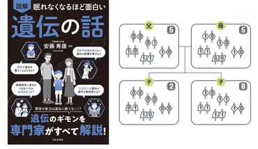 目の色は複数の遺伝子によって決められている【眠れなくなるほど面白い 図解 遺伝の話】 