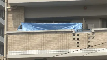 体の中が見たい」15歳少女の快楽殺人 数々のサインは見逃された 加害元少女は今 