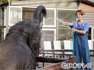 橋本環奈、那須雄登らが相葉雅紀MCの「I LOVE みんなのどうぶつ園」で動物たちの生態を追う！ 