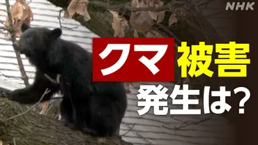 栃木 那須塩原 住宅の軒先で男性がクマに襲われ首や頭にけが 