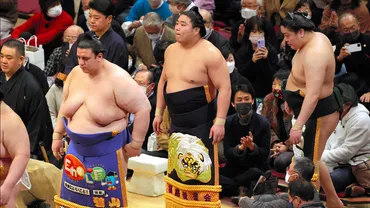憧れ続けた祖父の化粧まわし、命日前についに披露 新入幕の若元春：朝日新聞