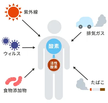 活性酸素って何？抗酸化物質と生活習慣の見直しで目指す！若々しい毎日とは？活性酸素と抗酸化物質：内側からのエイジングケア