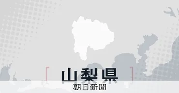 練習中に部員を平手打ち 全国制覇の男子バレー部監督を解任 山梨県：朝日新聞