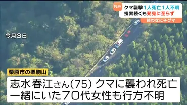 爆竹゛鳴らすも不明女性クマに襲われたか発見に至らず 専門家「クマは首から上狙う」ヘルメット着用推奨 宮城 （tbc東北放送）