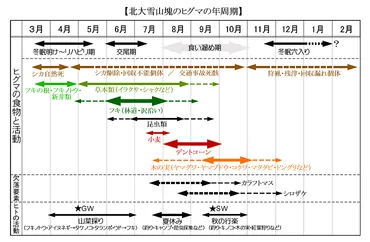 ヒグマの食生活と共存への課題：多様な食性と人間活動の影響？ヒグマの食性、食糧事情、そして人間との関係性