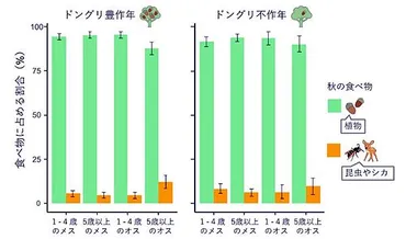ドングリが不作なら昆虫を食べる ツキノワグマ、性別や年齢による食生活の違い明らかに 