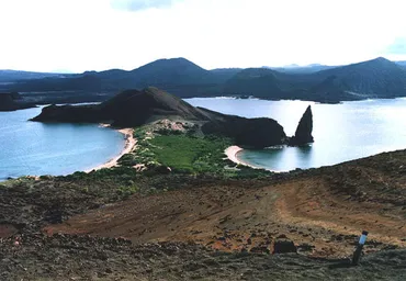 ガラパゴス諸島（バルトロメ島）編』ガラパゴス(エクアドル)の旅行記・ブログ by JTBさん【フォートラベル】
