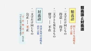 動画で学習 